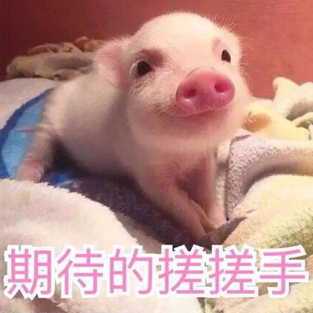 大直径美瞳摘取方法,美瞳怎么放大眼睛