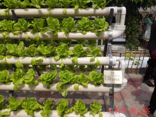 农业创业商机大全,农业十大风口商机