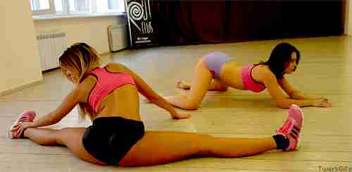 养了一只猫5年最后它变成了野猫,我原来养过一只猫情感语录