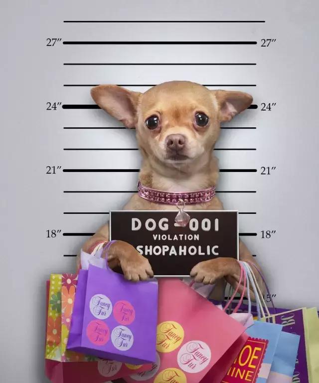 旅游退税方法,推荐几款热门旅游地