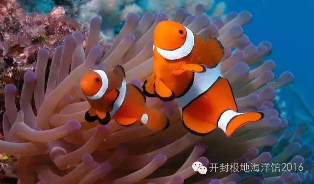 下雨适合去极地海洋世界玩吗,下雨天极地海洋世界