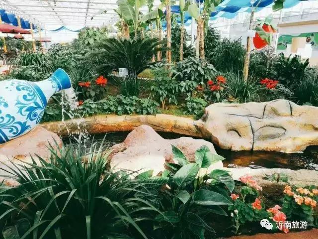 山东沂南秋日花海醉游人,沂南周边看梨花景点