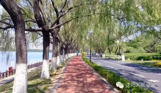 沈阳周边有什么踏青的好地方,沈阳野餐露营的好地方