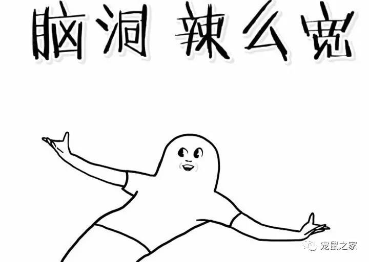 荷兰猪尿垢怎么清洗,荷兰猪尿渍怎么处理