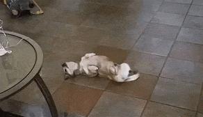 我想红舞蹈舞台版,我想红