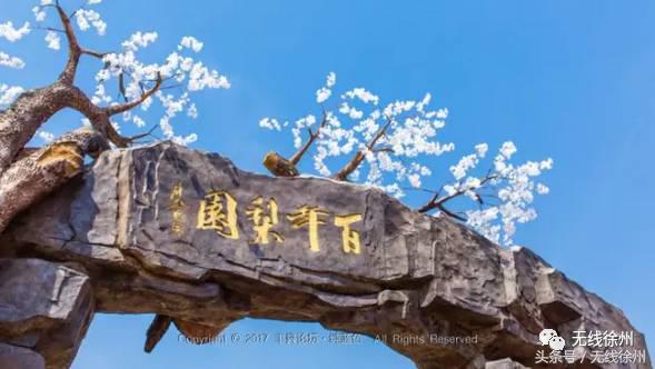 徐州桃花美景,徐州春天又见美好游玩