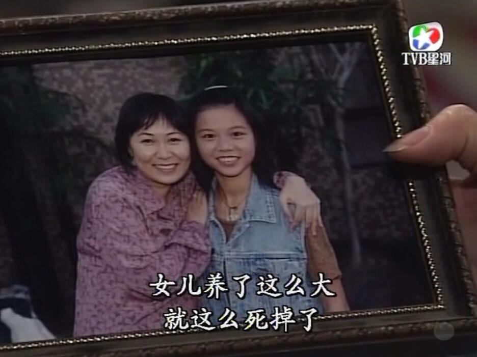 刑事侦缉档案袁天丽马成昌第五集,刑事侦缉档案袁天丽