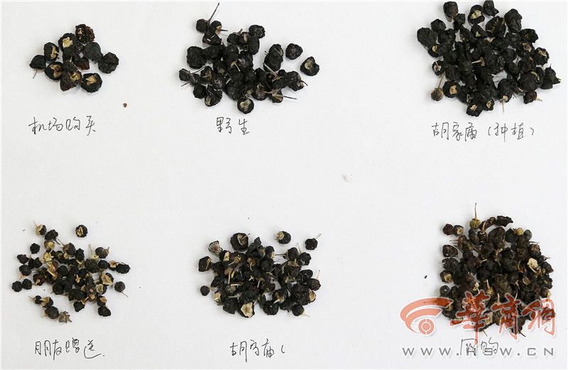 纯野生黑枸杞怎么辨别,市场上假的黑枸杞