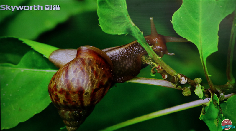 联想17tv电视质量怎么样,联想17tv缺点