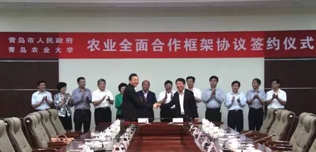 青岛农大现在情况,青岛农大放开了吗