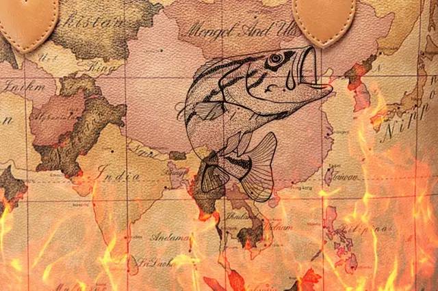 探鱼新品烤鱼,烤鱼店探店火爆视频