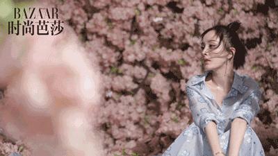 大幂幂时尚盛典完整版,大幂幂时尚盛典红毯