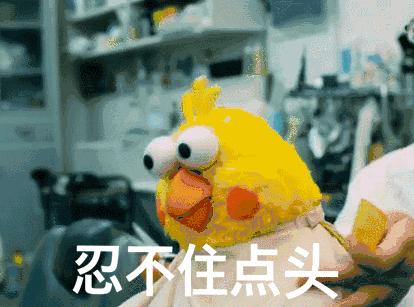 今日头条最奇葩的视频,今日头条最奇葩的事件