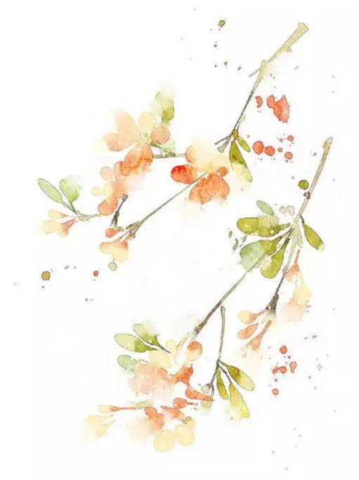 小学课文数星星的孩子插图,二年级数星星的孩子课文原文