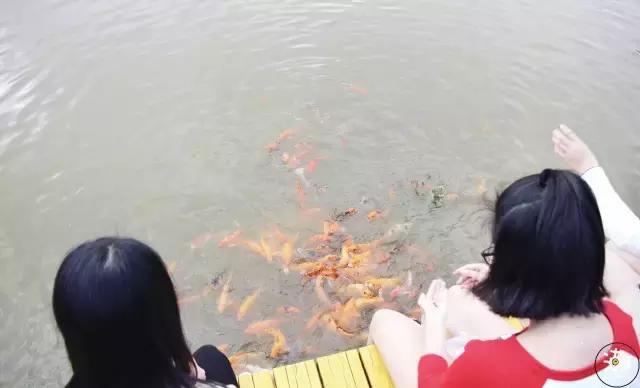 一日深职人，终身深职人