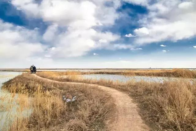 人生，总有一条弯路非走不可｜郑州市惠济区教体局副局长今日领读