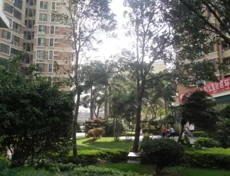 王石许家印完整视频,恒大许家印王石