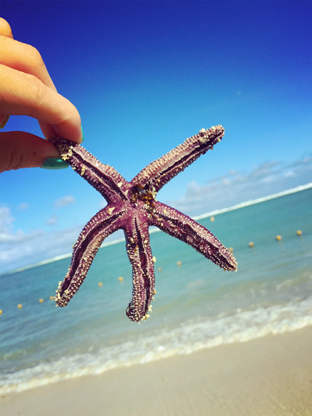 穷游毛里求斯,毛里求斯自由行穷游攻略