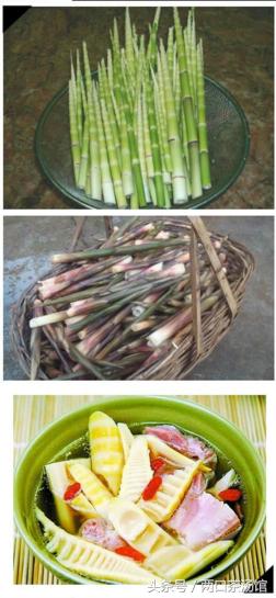 大别山深处的绝美山珍!