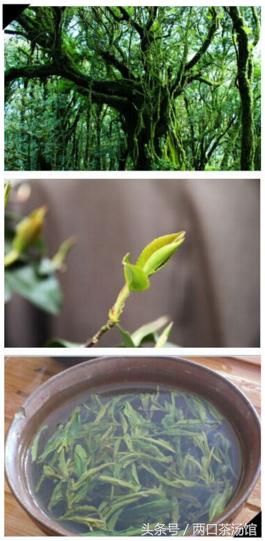 大别山深处的绝美山珍!