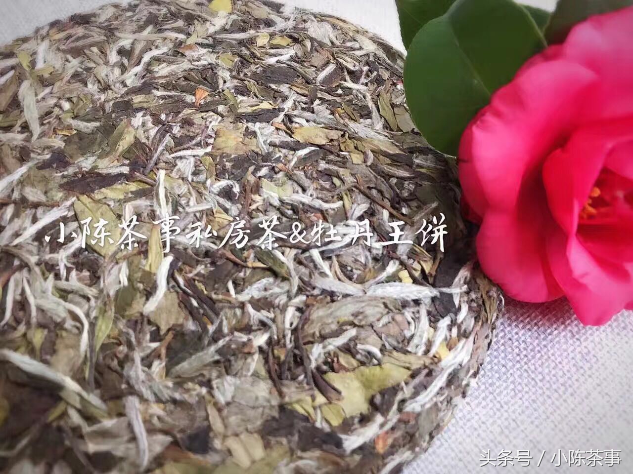 白茶潮湿还能喝吗,春天喝一壶新茶