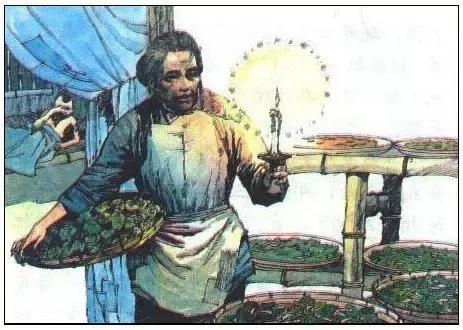 90年代小学语文课本所有插画图片,小学课本中令人印象深刻的插画