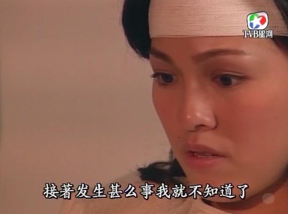 刑事侦缉档案袁天丽马成昌第五集,刑事侦缉档案袁天丽