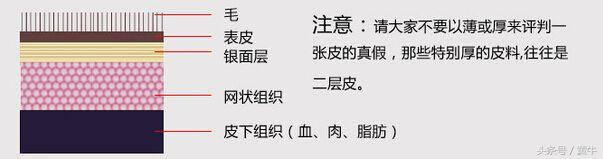 怎么辨别钱包是不是牛皮,如何鉴别钱包是真皮