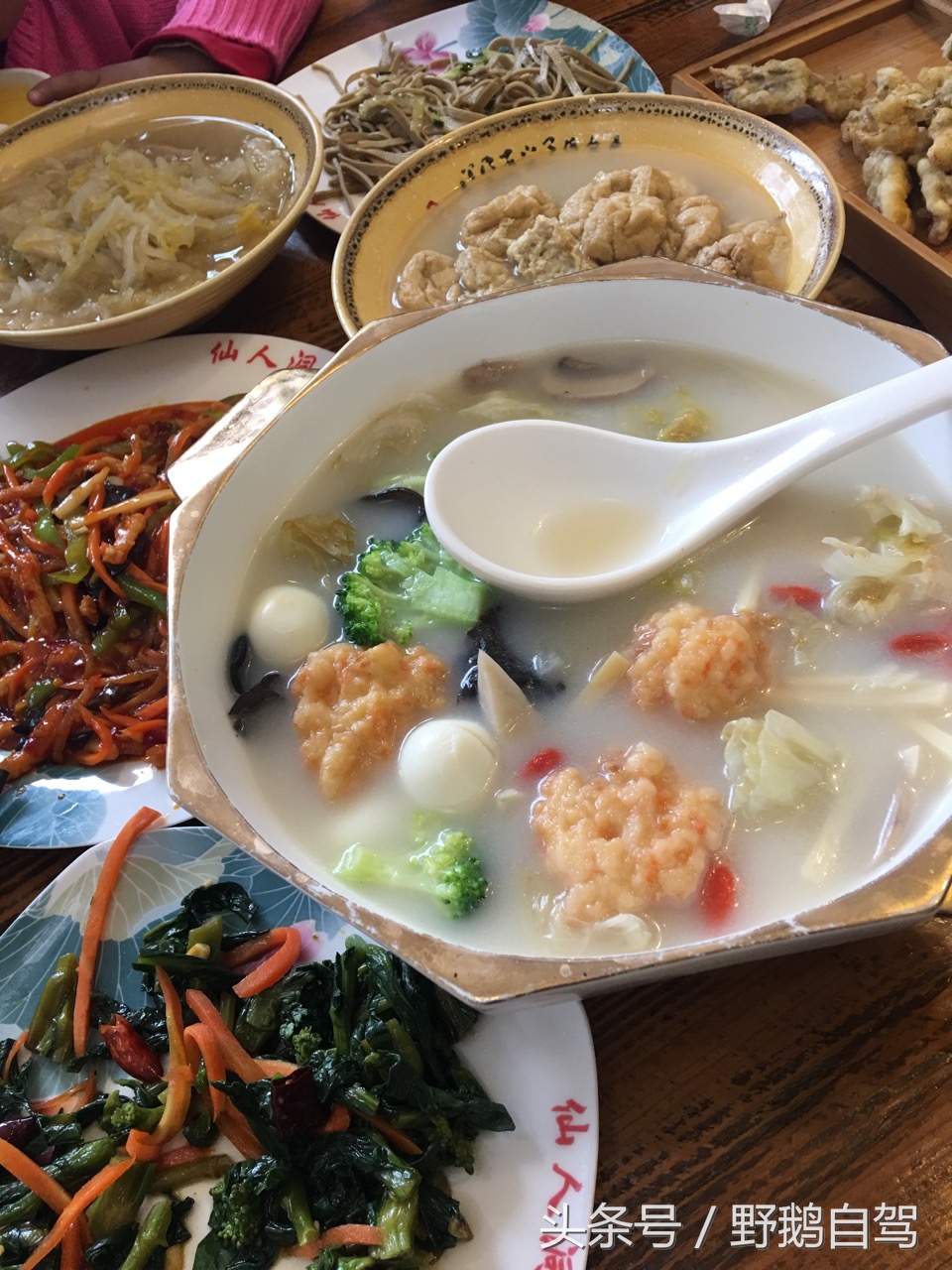 八达岭野生动物园野兽区,八达岭动物园自驾攻略大全