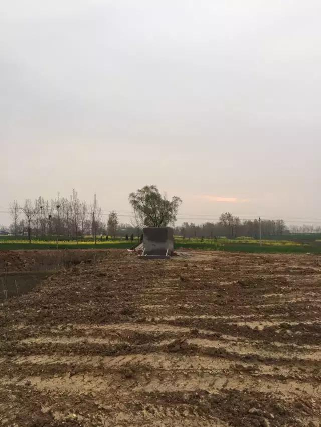 这座乡村古庙，挖出了半尺宽的古生物牙齿