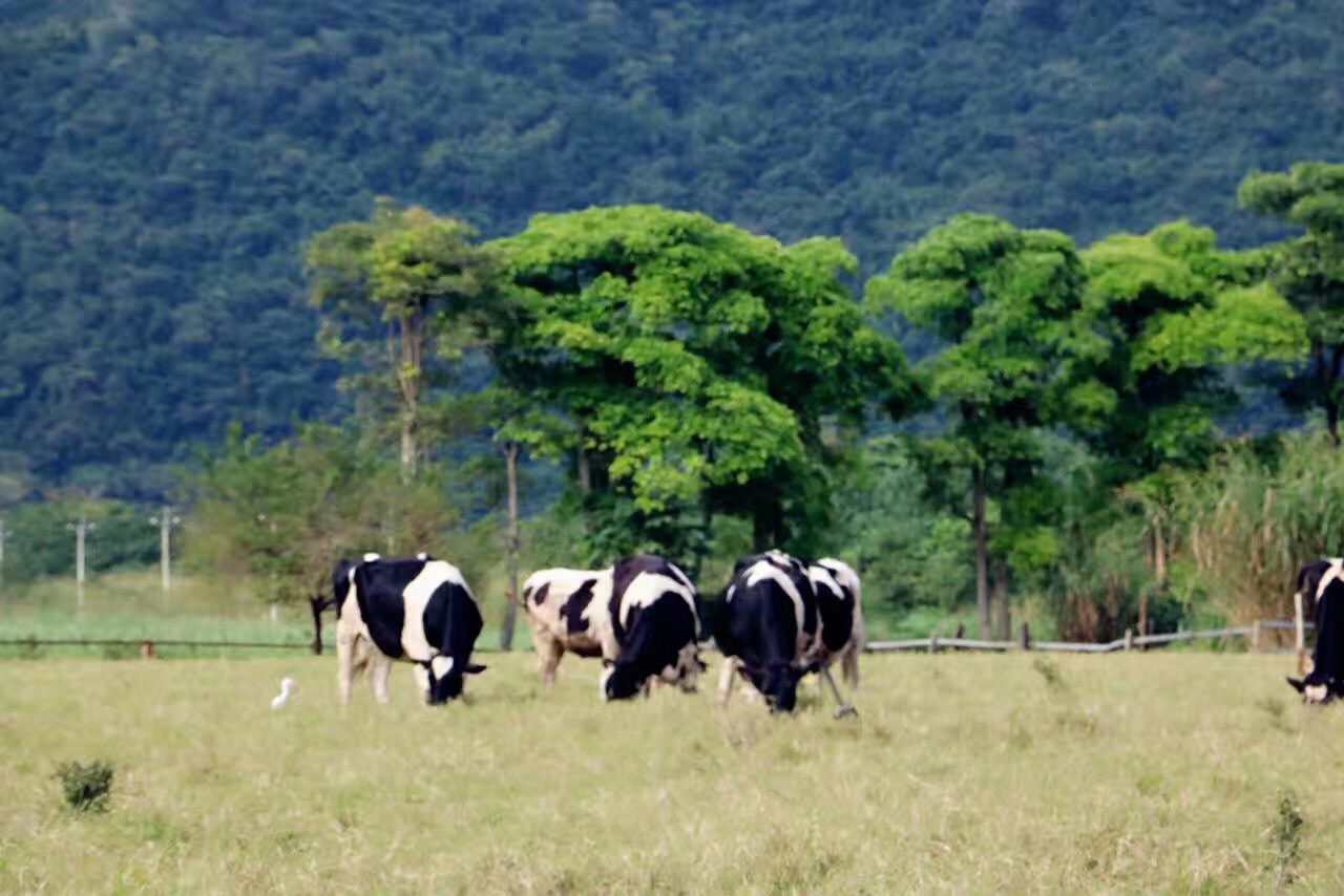 苏花公路最佳路线,苏花公路风景图