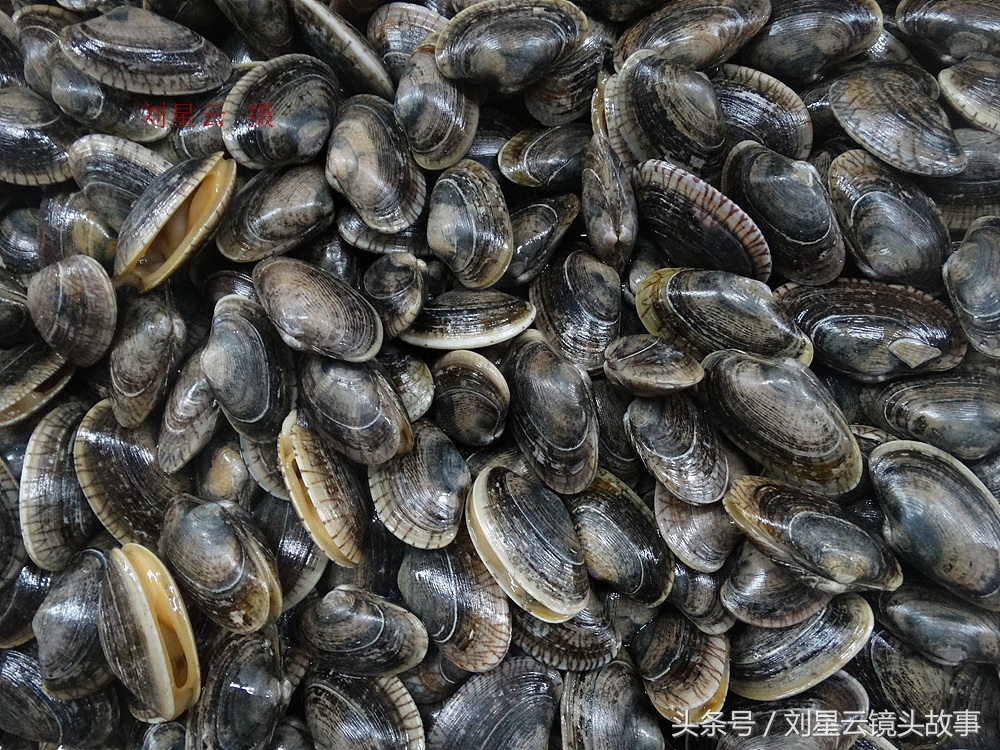 来三亚旅游想吃带壳的海鲜，不当冤大头，要有智慧善挑选和会安排