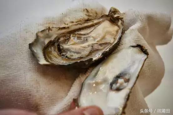 莆田牡蛎吃法,莆田海蛎的美味