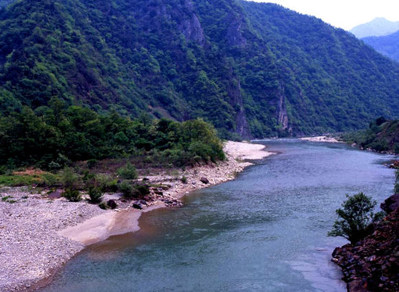 钓鱼的小虫子，有鱼必上钩，被誉为“动物人参”