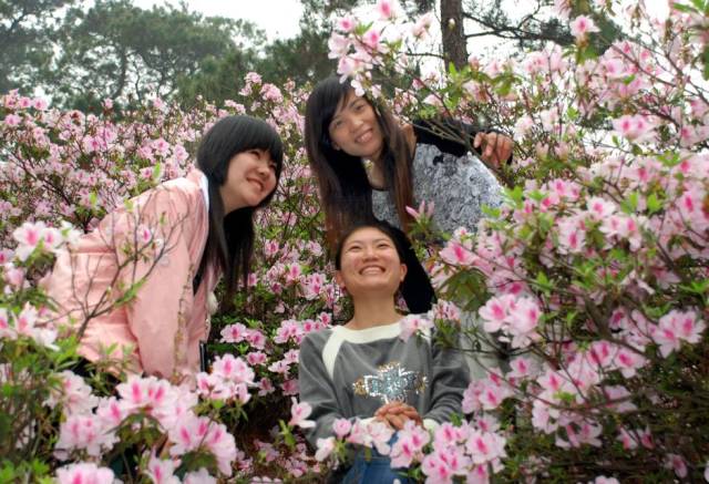 春暖花开正是踏青赏花的好时节,肇庆春日赏花的地方图片