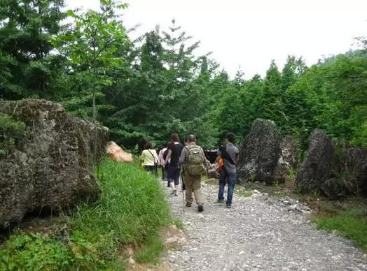 成都附近一小时氧吧,成都周边森林免费氧吧推荐