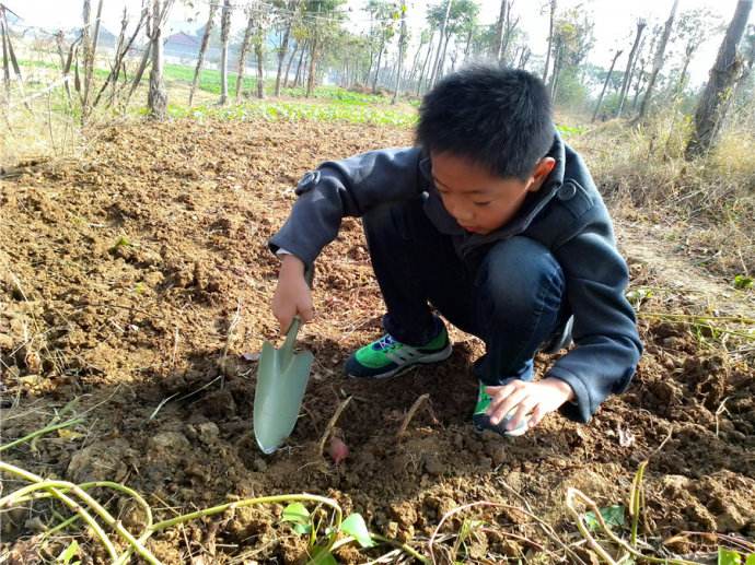 小时候是农村的来瞧瞧，你干过几样？