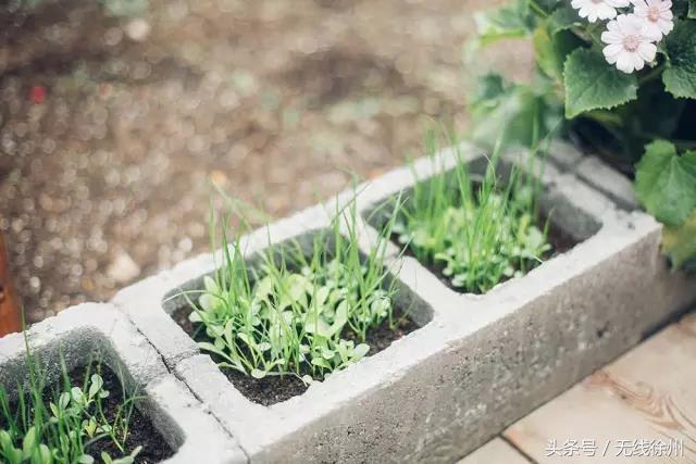花爷的农村生活,花爷的乡间生活