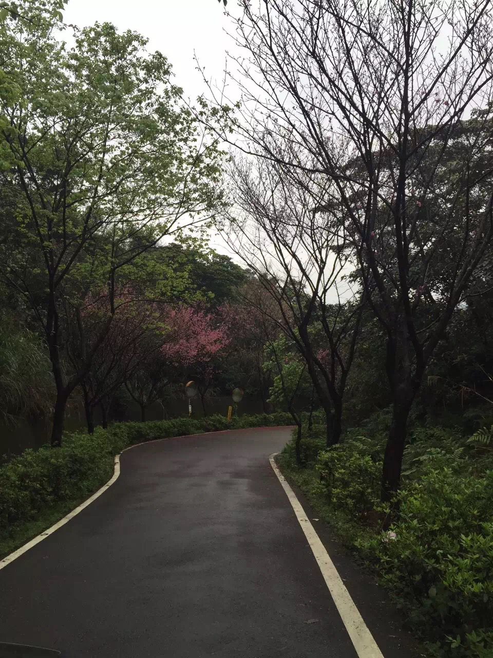 苏花公路最佳路线,苏花公路风景图