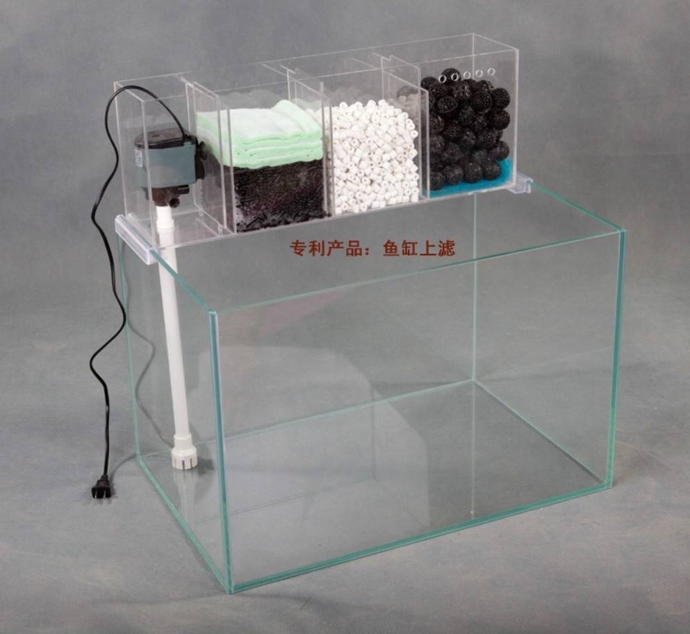 水产养殖户解决养鱼难题,观赏鱼养殖入门