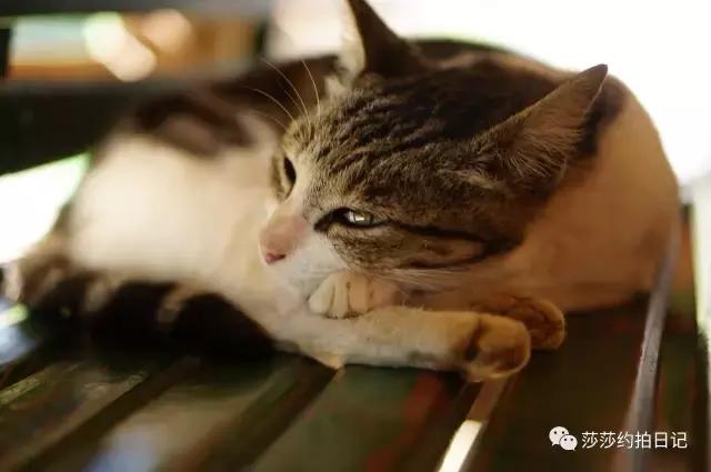 斯里兰卡旅游线路图高清,斯里兰卡自由行旅游攻略