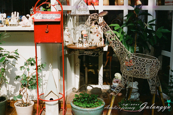 鼓浪屿旅行攻略大全,鼓浪屿旅行攻略大全最新