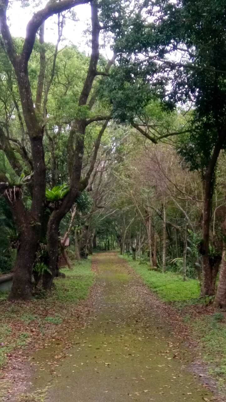 苏花公路最佳路线,苏花公路风景图