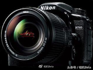 尼康佳能奥林巴斯,佳能尼康富士奥林巴斯