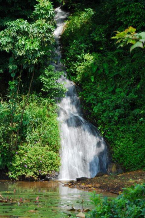 黄飞鸿佛山大沥伟业店,黄飞鸿佛山武术馆