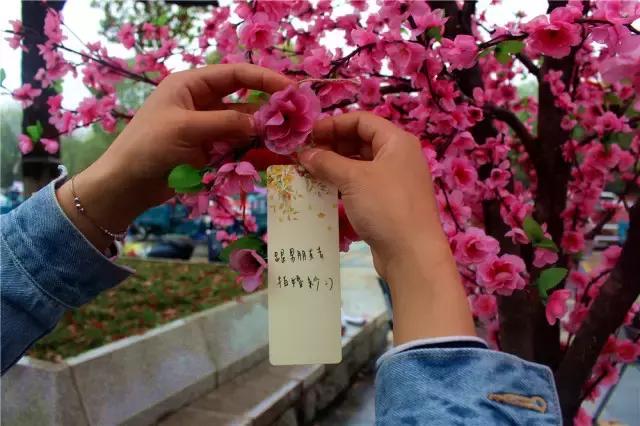 天涯明月刀“一起来相思树下”活动于浙江大学圆满落幕