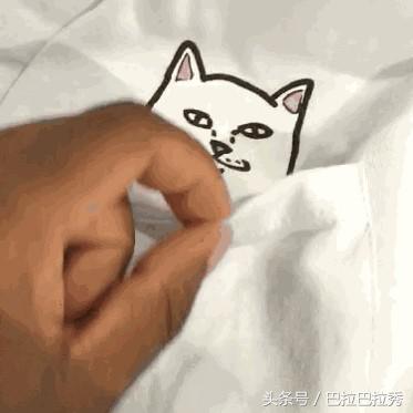 潮牌最强王者，不要再怂了！不如让这只贱猫帮你出头！