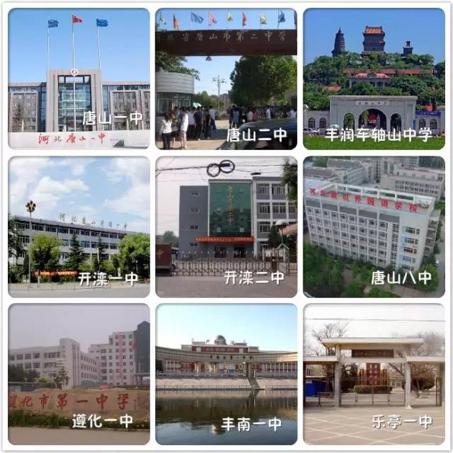 一封辞职信火遍整个日照,又一封辞职信刷爆朋友圈