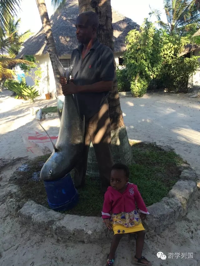 一生必去一次的非洲坦桑尼亚｜回归狂野