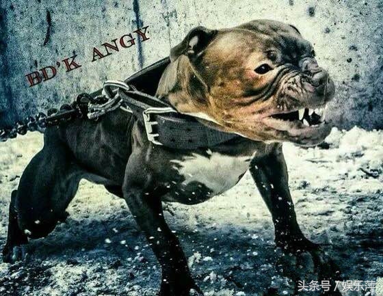 比特不都应该是这样的么？吃草莓那个是什么鬼